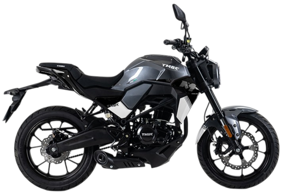 Мотоцикл TMBK MONTANA 250 (165 FMM) ЭПТС Grey Black pitbikemarket.ru