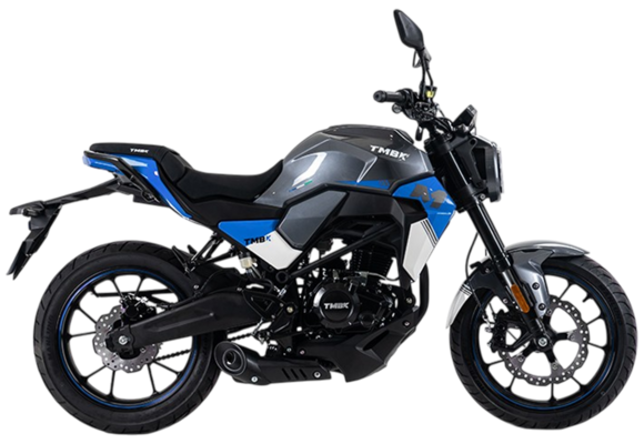 Мотоцикл TMBK MONTANA 250 (165 FMM) ЭПТС Grey Blue pitbikemarket.ru